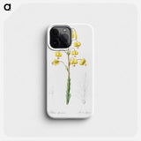 Lilium pyrenaicum illustration - ピエール ジョゼフ ルドゥーテ Phone Case.