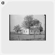 アートポストカード-Southeast Missouri Farms
 - ラッセル リー Postcard.
