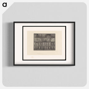アートポスター-E. Muybridge: Motion Studies
 - エドワード マイブリッジ Poster.