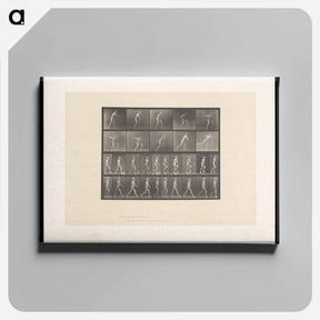 アートパネル-E. Muybridge: Motion Studies
 - エドワード マイブリッジ Canvas.