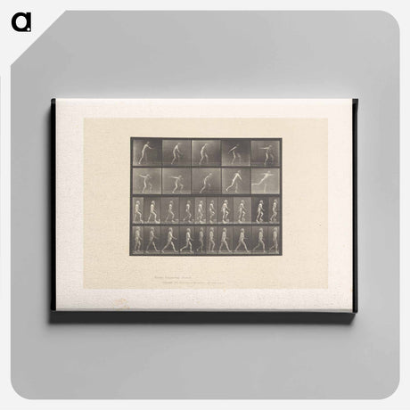 アートパネル-E. Muybridge: Motion Studies
 - エドワード マイブリッジ Canvas.