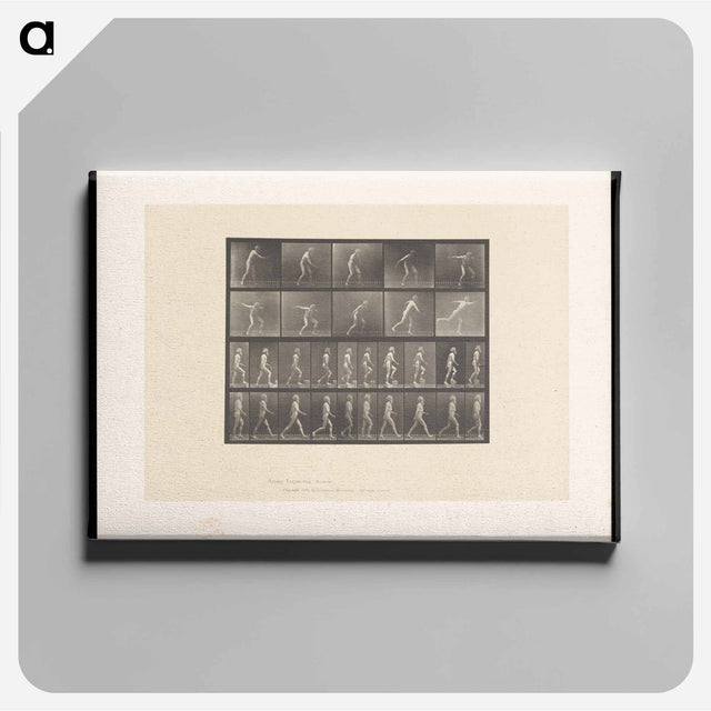 アートパネル-E. Muybridge: Motion Studies
 - エドワード マイブリッジ Canvas.