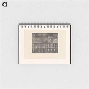 アートメモ帳-E. Muybridge: Motion Studies
 - エドワード マイブリッジ Memo.