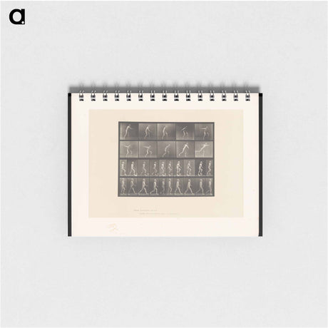 アートメモ帳-E. Muybridge: Motion Studies
 - エドワード マイブリッジ Memo.
