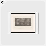 アートポストカード-Cricket Swing
 - エドワード マイブリッジ Postcard.