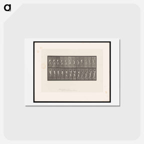 アートポストカード-Cricket Swing
 - エドワード マイブリッジ Postcard.