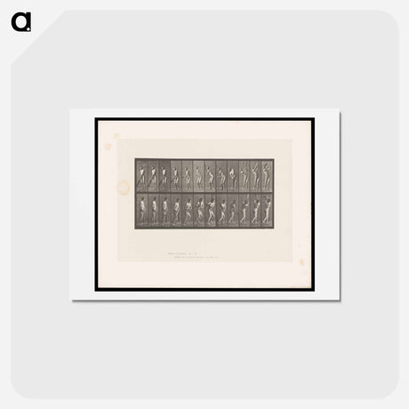 アートポストカード-Cricket Swing
 - エドワード マイブリッジ Postcard.