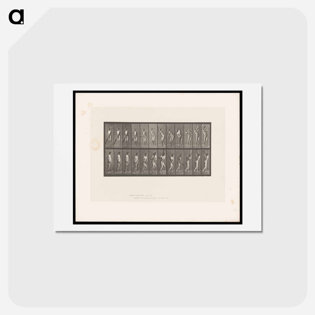 アートポストカード-Cricket Swing
 - エドワード マイブリッジ Postcard.