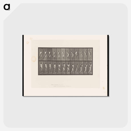 アートポストカード-Cricket Swing
 - エドワード マイブリッジ Postcard.