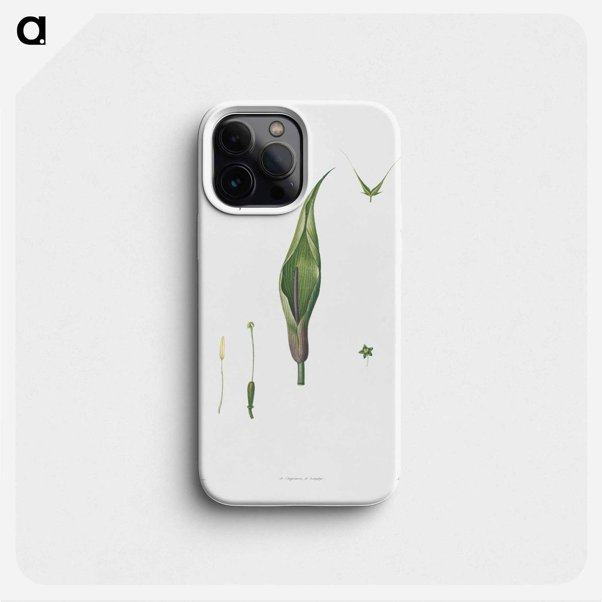 Flowers set from La Botanique de JJ Rousseau - Pierre Joseph Redouté Phone Case.