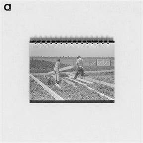 アートメモ帳-Cutting Alfalfa
 - ラッセル リー Memo.