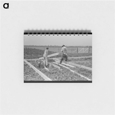 アートメモ帳-Cutting Alfalfa
 - ラッセル リー Memo.