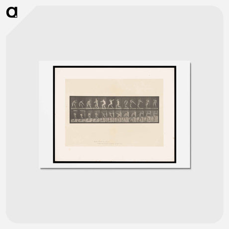 アートポストカード-The Ball Thrower
 - エドワード マイブリッジ Postcard.