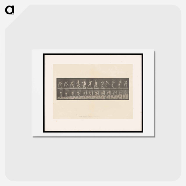 アートポストカード-The Ball Thrower
 - エドワード マイブリッジ Postcard.