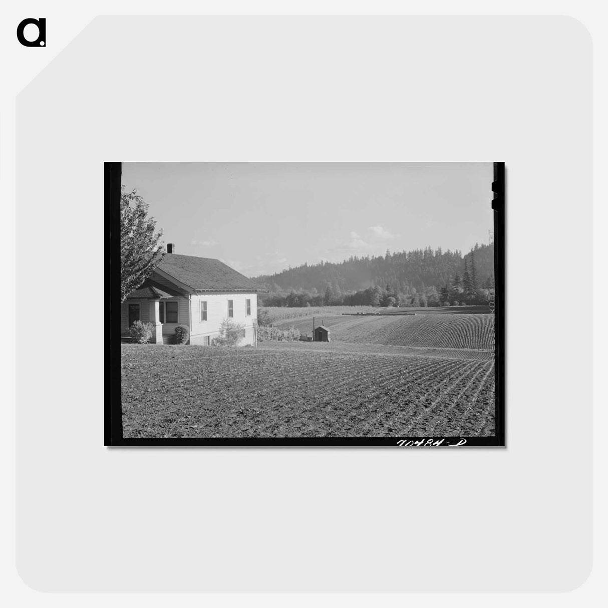アートポストカード-Fall Spinach, Willamette Valley
 - ラッセル リー Postcard.