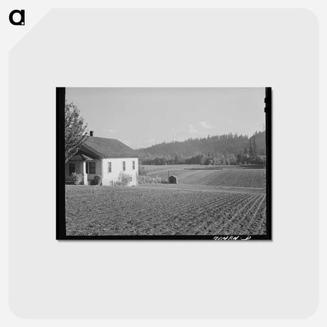 アートポストカード-Fall Spinach, Willamette Valley
 - ラッセル リー Postcard.