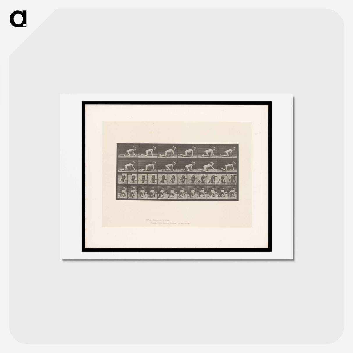 アートポストカード-Crawling Girl
 - エドワード マイブリッジ Postcard.