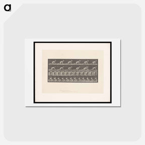 アートポストカード-Crawling Girl
 - エドワード マイブリッジ Postcard.