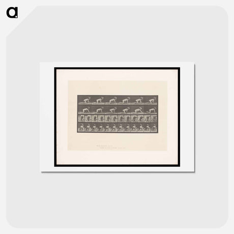 アートポストカード-Crawling Girl
 - エドワード マイブリッジ Postcard.