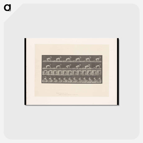 アートポストカード-Crawling Girl
 - エドワード マイブリッジ Postcard.