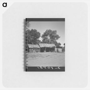 アートメモ帳-Untitled photo - ドロテア ラング Memo.