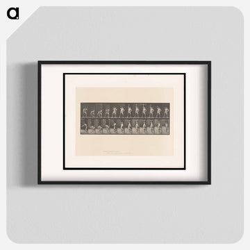 Weightlifting
 - エドワード マイブリッジ Poster.