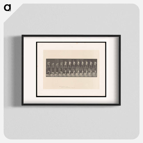 Weightlifting
 - エドワード マイブリッジ Poster.