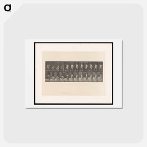 アートポストカード-Weightlifting
 - エドワード マイブリッジ Postcard.