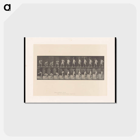 アートポストカード-Weightlifting
 - エドワード マイブリッジ Postcard.