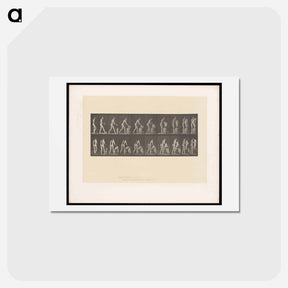 アートポストカード-Nude with Undergarment
 - エドワード マイブリッジ Postcard.