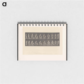 アートメモ帳-Nude with Undergarment
 - エドワード マイブリッジ Memo.