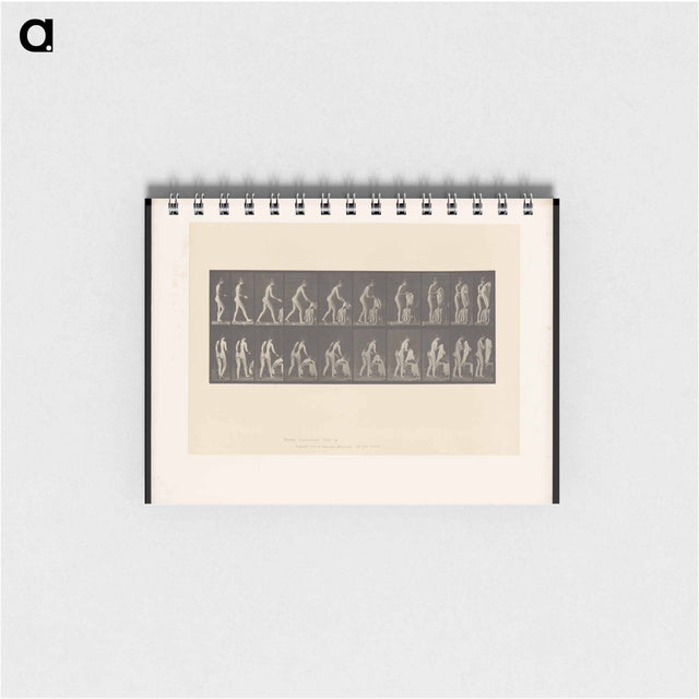 アートメモ帳-Nude with Undergarment
 - エドワード マイブリッジ Memo.