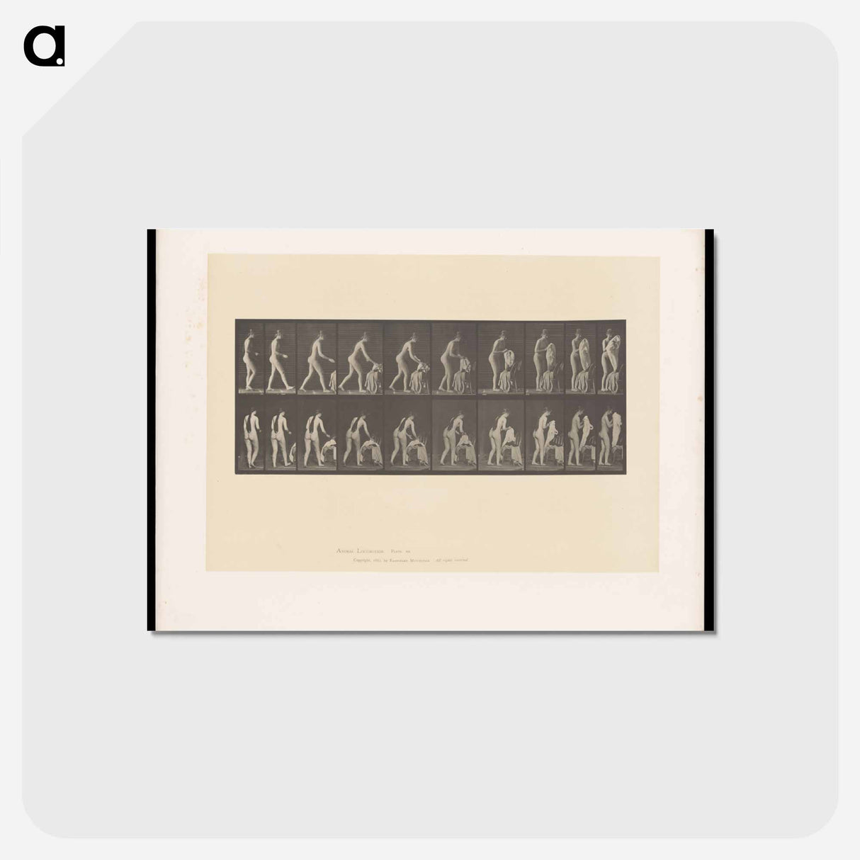 アートポストカード-Nude with Undergarment
 - エドワード マイブリッジ Postcard.