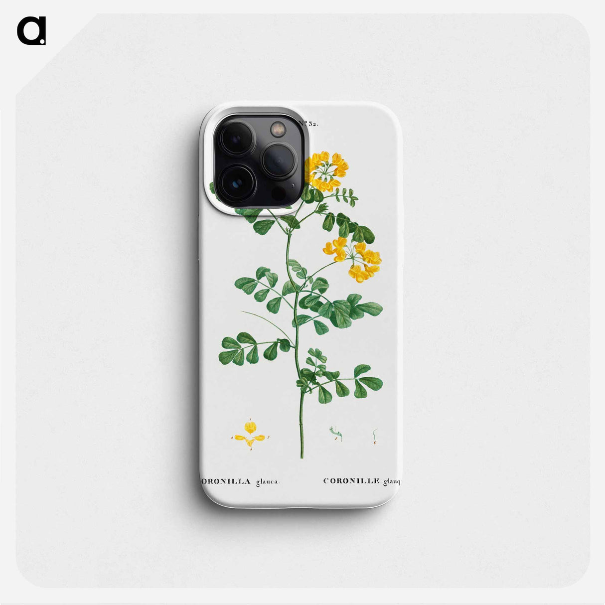 Scorpion vetch (Coronilla glauca) - ピエール ジョゼフ ルドゥーテ Phone Case.