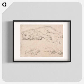 アートポスター-Studies of a Sleeping Lion
 - イェール大学アートギャラリー Poster.