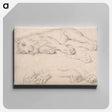アートパネル-Studies of a Sleeping Lion
 - イェール大学アートギャラリー Canvas.