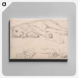 アートパネル-Studies of a Sleeping Lion
 - イェール大学アートギャラリー Canvas.