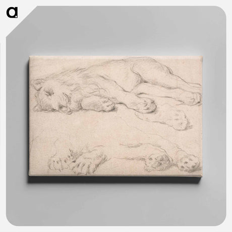 アートパネル-Studies of a Sleeping Lion
 - イェール大学アートギャラリー Canvas.