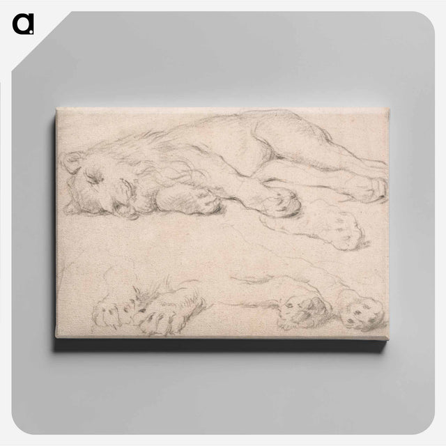 アートパネル-Studies of a Sleeping Lion
 - イェール大学アートギャラリー Canvas.