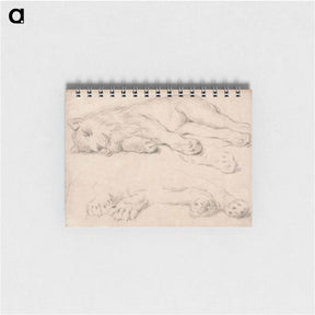 アートメモ帳-Studies of a Sleeping Lion
 - イェール大学アートギャラリー Memo.