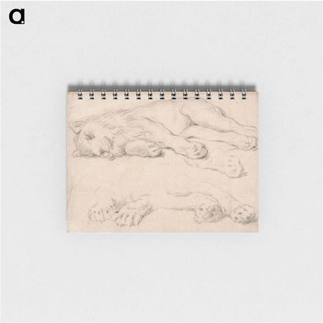 アートメモ帳-Studies of a Sleeping Lion
 - イェール大学アートギャラリー Memo.