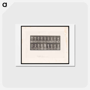アートポストカード-Speed-Walking Man
 - エドワード マイブリッジ Postcard.