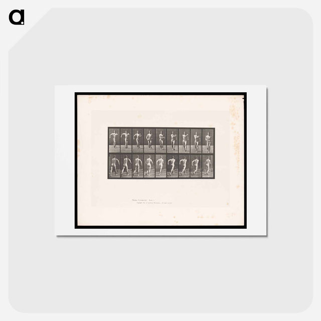 アートポストカード-Speed-Walking Man
 - エドワード マイブリッジ Postcard.