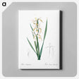 アートパネル-Yellow banded iris illustration - ピエール ジョゼフ ルドゥーテ Canvas.