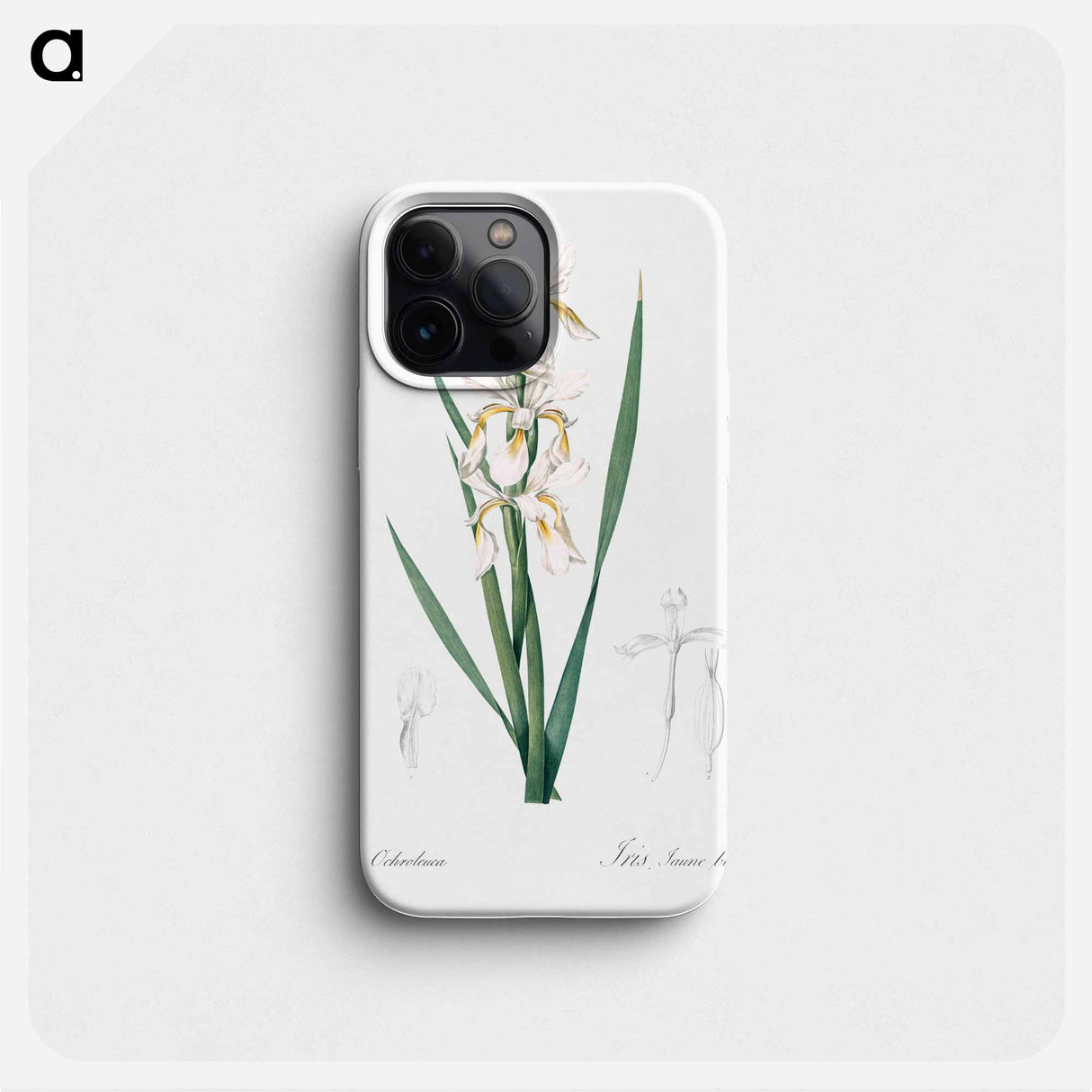 Yellow banded iris illustration - ピエール ジョゼフ ルドゥーテ Phone Case.