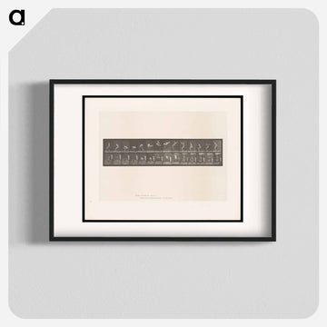 Leaping Somersault
 - エドワード マイブリッジ Poster.