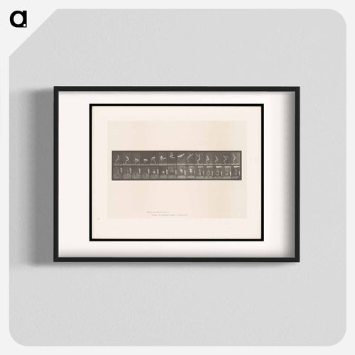 Leaping Somersault
 - エドワード マイブリッジ Poster.