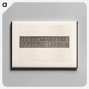 アートパネル-Leaping Somersault
 - エドワード マイブリッジ Canvas.