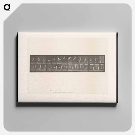 アートパネル-Leaping Somersault
 - エドワード マイブリッジ Canvas.