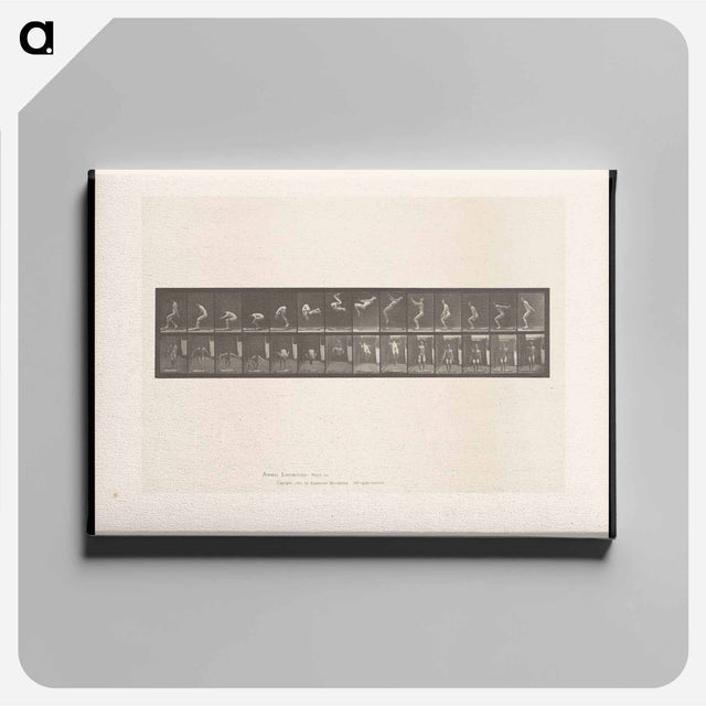 アートパネル-Leaping Somersault
 - エドワード マイブリッジ Canvas.